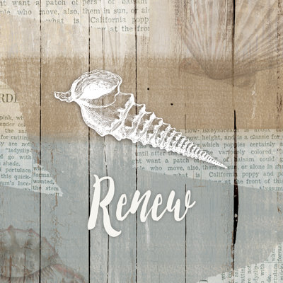 Renew Seashell - Wrapped Canvas Print