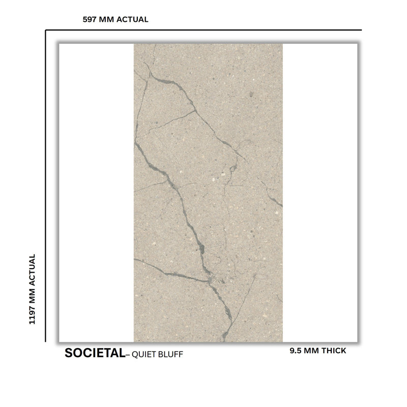 Societal 24" X 48" Porcelain Stone Look Tile, Quiet Bluff