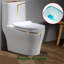 Toilette monobloc allongée au plancher à hauteur confort (siège inclus)
