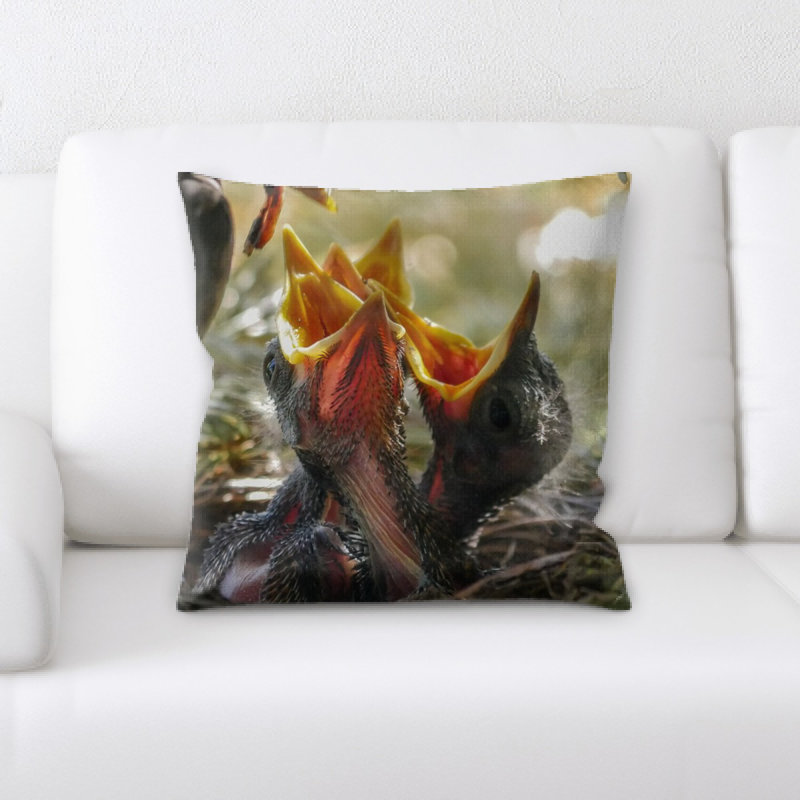 Coussin oiseau