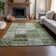 Premium Machine Washable Cerrito AMF566 Green Rug