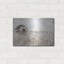 «Cotton Farms» par Britt Hallowell-95899096