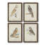 Toile encadrée de qualité supérieure Barn Owl - prête à être accrochée-472605958-472605959