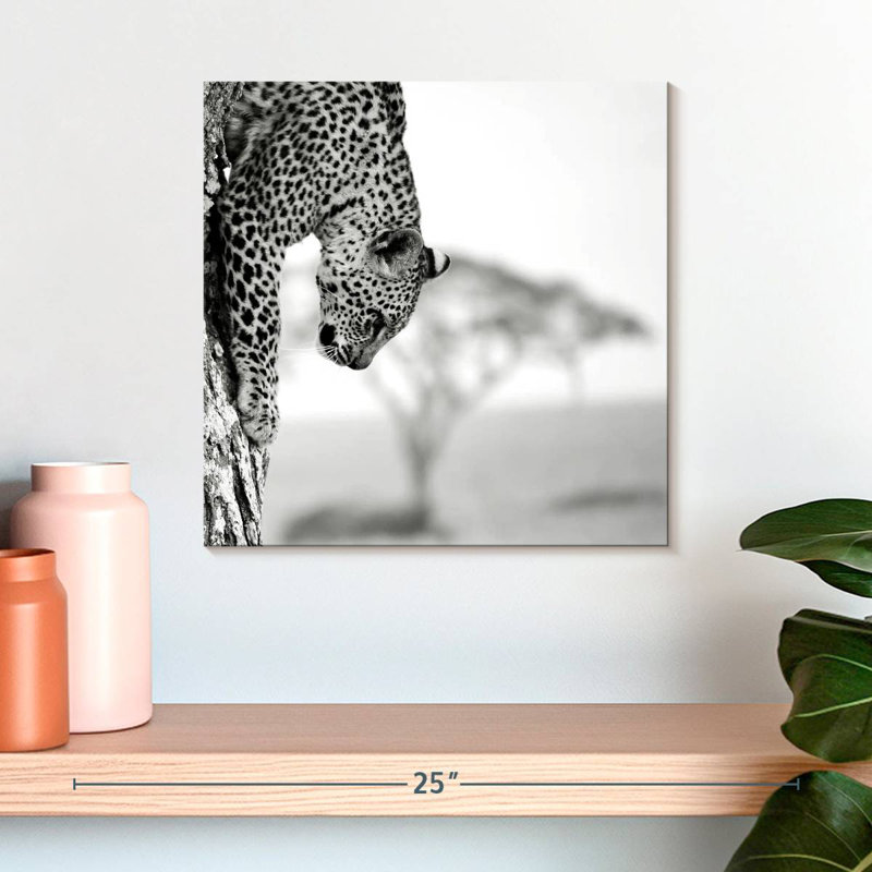 Leopard Descent, 16" H x 16" W