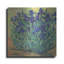 Art mural en métal «Irises in Bloom I» par Tim O'Toole-101669779