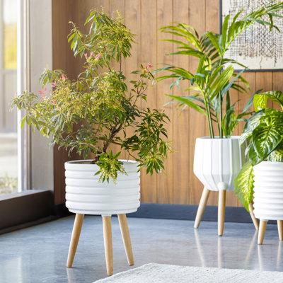 Jennaveve Pot Planter