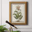 «Munting Botanicals I», toile encadrée de qualité supérieure - prête à être accrochée-1648361495