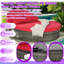 Lit de jour rond pour terrasse réglable avec plateaux et coussins pliables pour la détente au bord de la piscine-1495845447