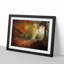 Autumn Forest - Framed Print-55456835-55456836