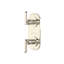 Apothecary 1/2" Thermostatic Trim With Diverter-1850629615