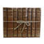 ColorPak Chestnut/Tan Rebound Leather