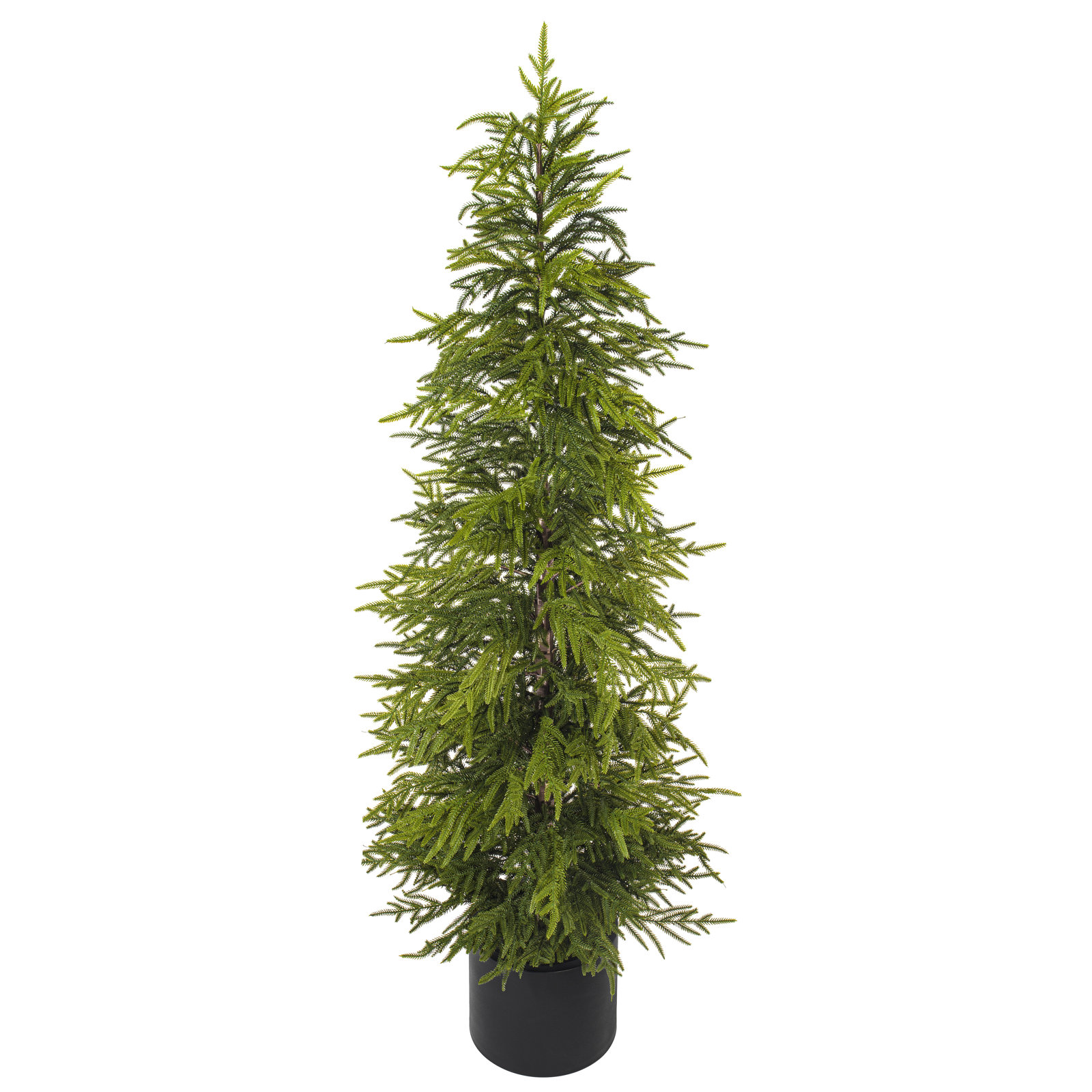 Pine Christmas Tree, 5