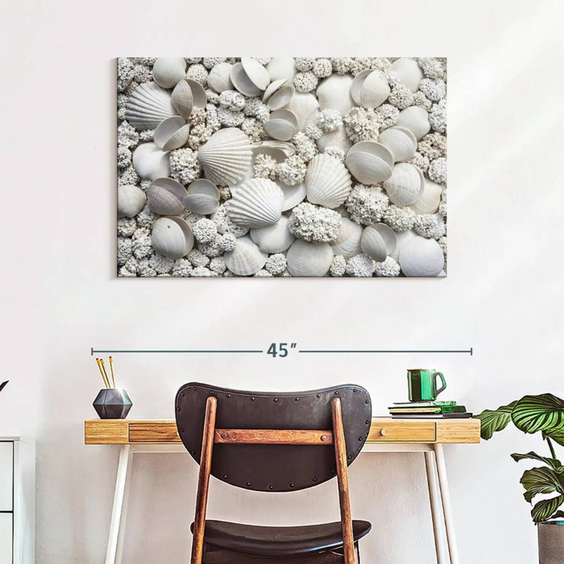 Aletra White Seashells
