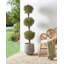 Faux Tree in Plastic / Acrylic Planter-1685536521