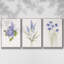 Ensemble de 3 cadres flottants sur toile-97754217-97754218