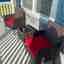 Photos des clients 1 de 1