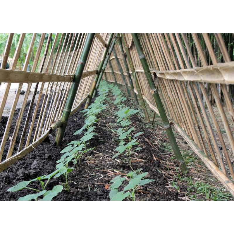 Natural Bamboo Garden Stakes for Plant Support, 48" Length