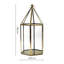 Glasshouse Terrarium Antique Brass H36cm W18cm