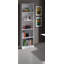 Meziah Standard Bookcase
