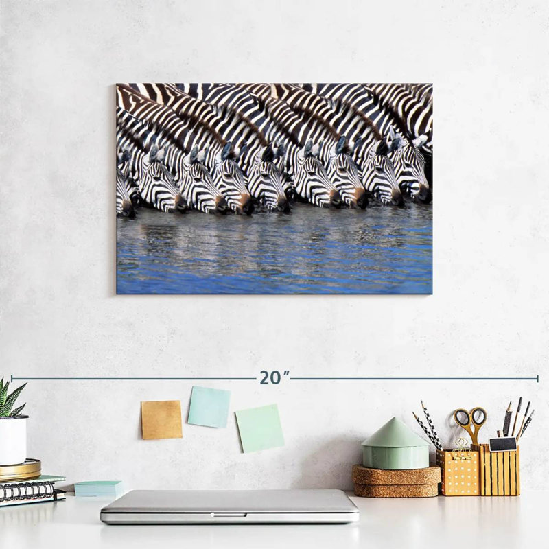 Crowle Zebras buvant de l'eau, H 8 po x l 12 po
