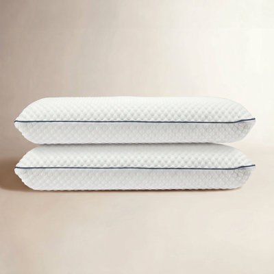 Plush Memory Foam Pillow