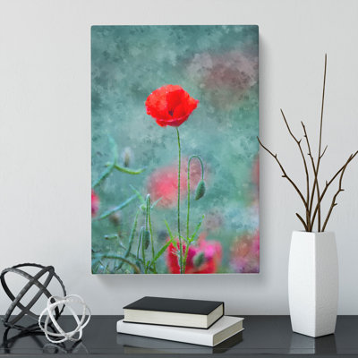 A Lone Poppy Flower - Wrapped Canvas