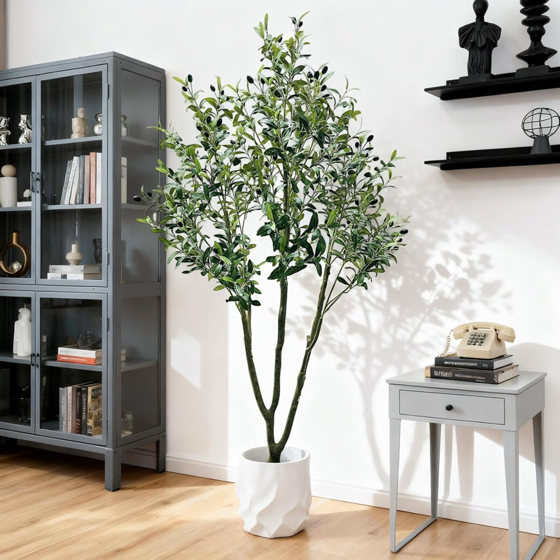 210cm Plant