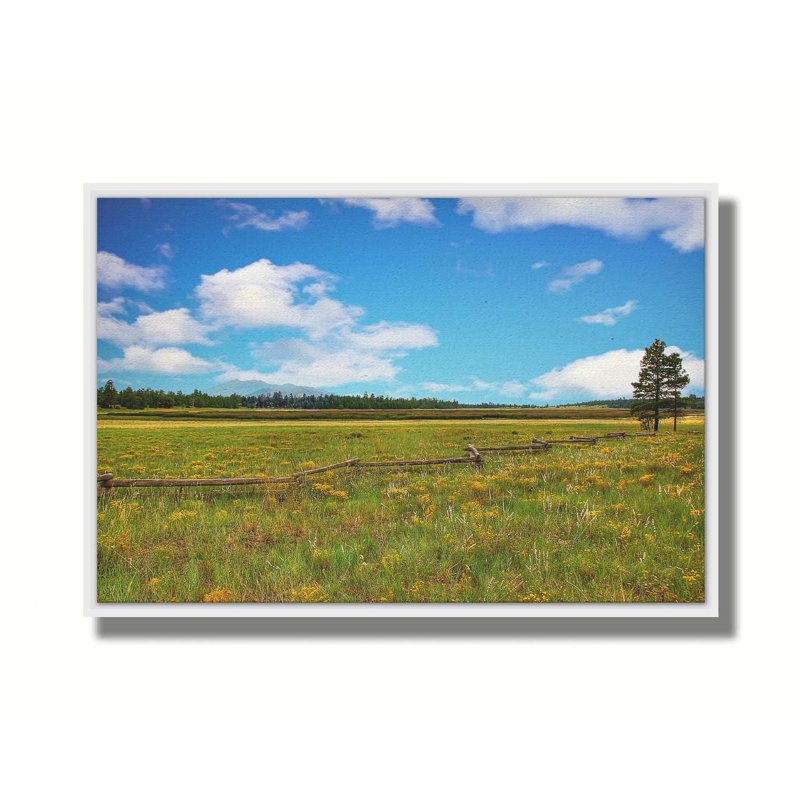 Flagstaff by Kelly Wade. Giclee Gallery, 30.5" H x 45.5" W, Framed Print without Mat, White