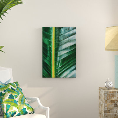 " Palm Leaf Close Up "