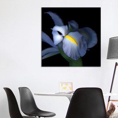 Iris Pale IV 1 Piece Wrapped Canvas Wall Art