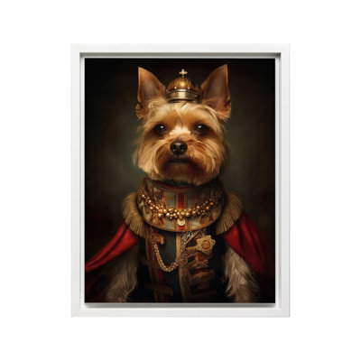 Aristocratic Yorkshire Terrier
