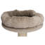 65" Fabiola Cat Tree