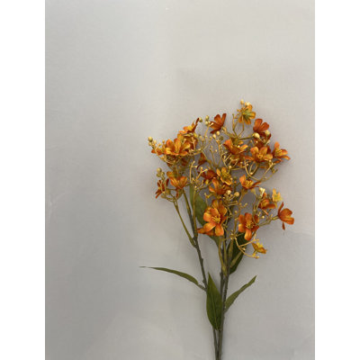 Vaporisateur orange Daphne