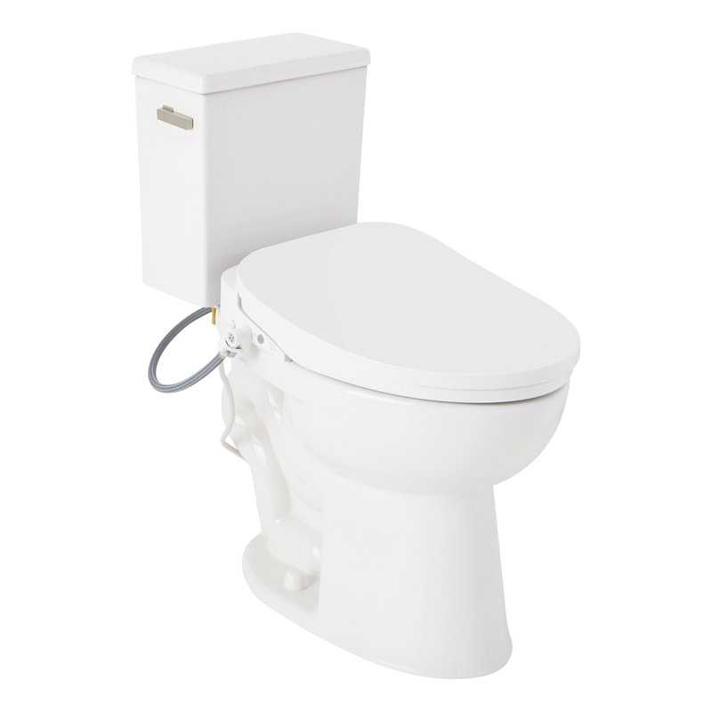 Lavrik Two-Piece Elongated Toilet with Reversible Tank - Bidet Seat  - Brushed Nickel Handle, Brushed Nickel