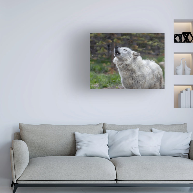 «Loup hurlant» bolognaise sur toile, H 18 po x l 24 po