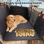 Polyester Pet Bed-947495499