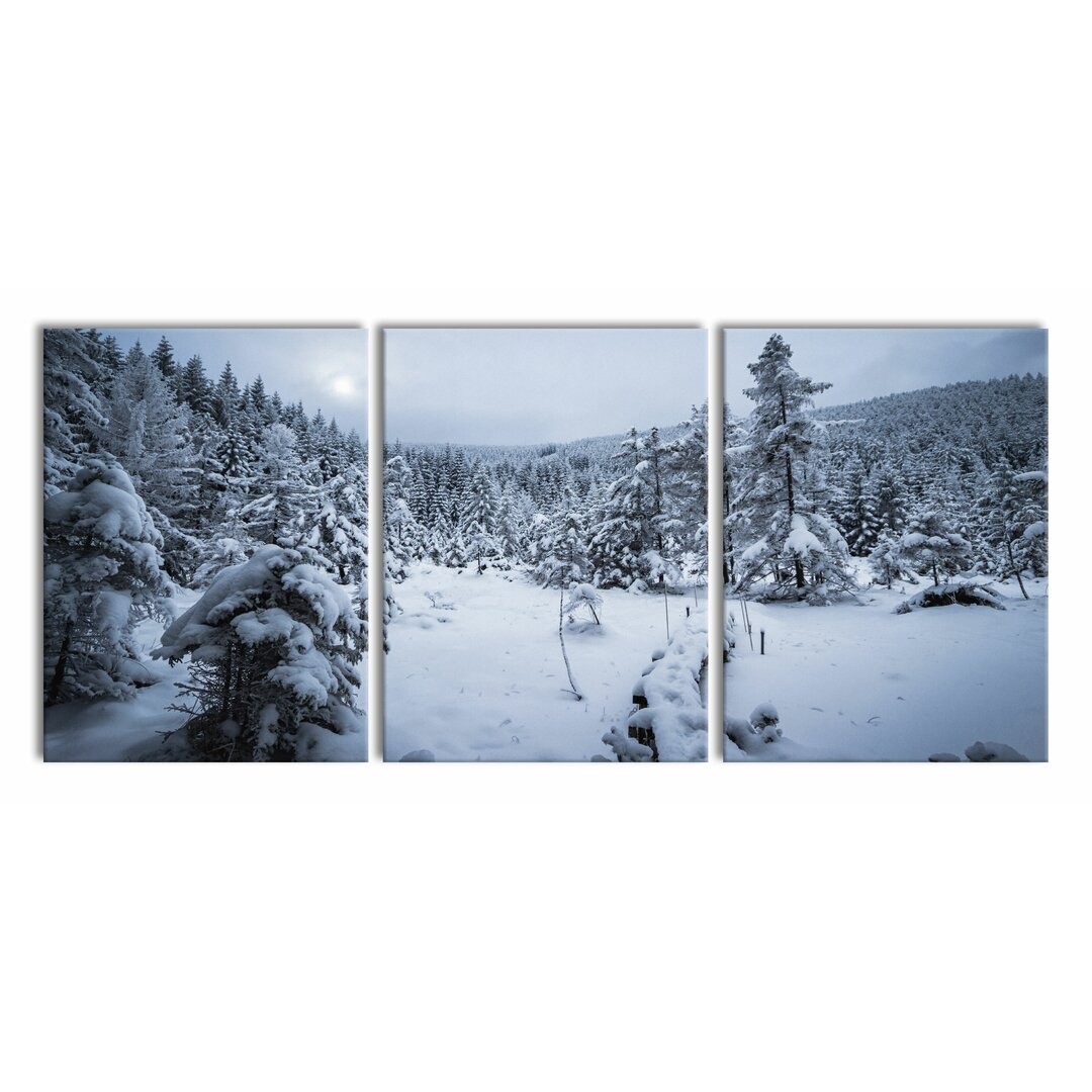 3-tlg. Leinwandbilder-Set Winter Landscape Frozen Lake