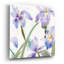 «Irises» par Sheila Golden, art mural en verre acrylique, 12 po x 12 po-1145546