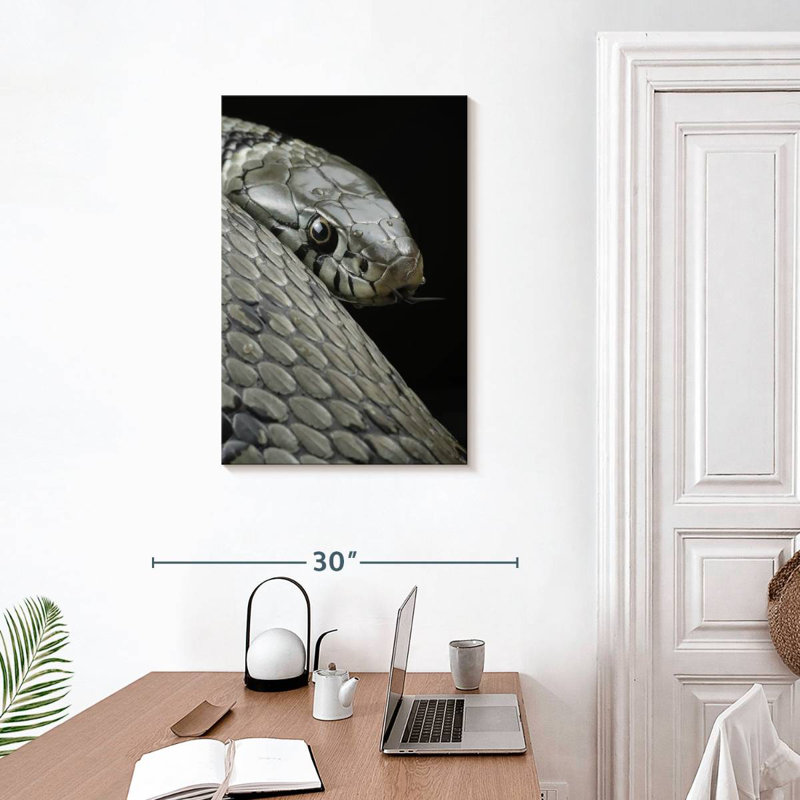 Brampt Necklace Snake, 30" H x 20" W
