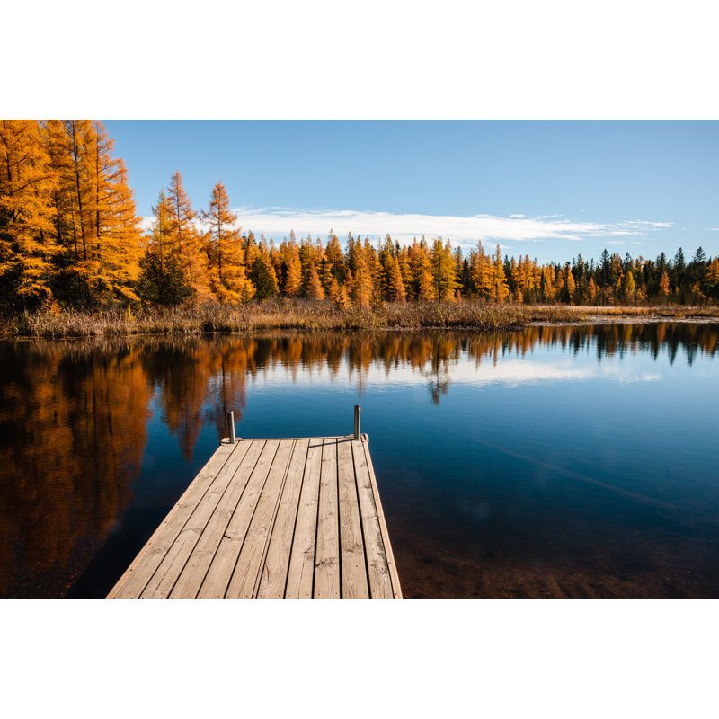 Tamaracks And Pier by Drake Fleege - Wrapped Canvas Print, 30cm H x 46cm W