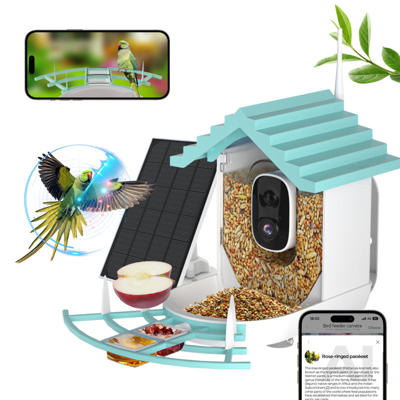 Mangeoire à oiseaux intelligente avec caméra