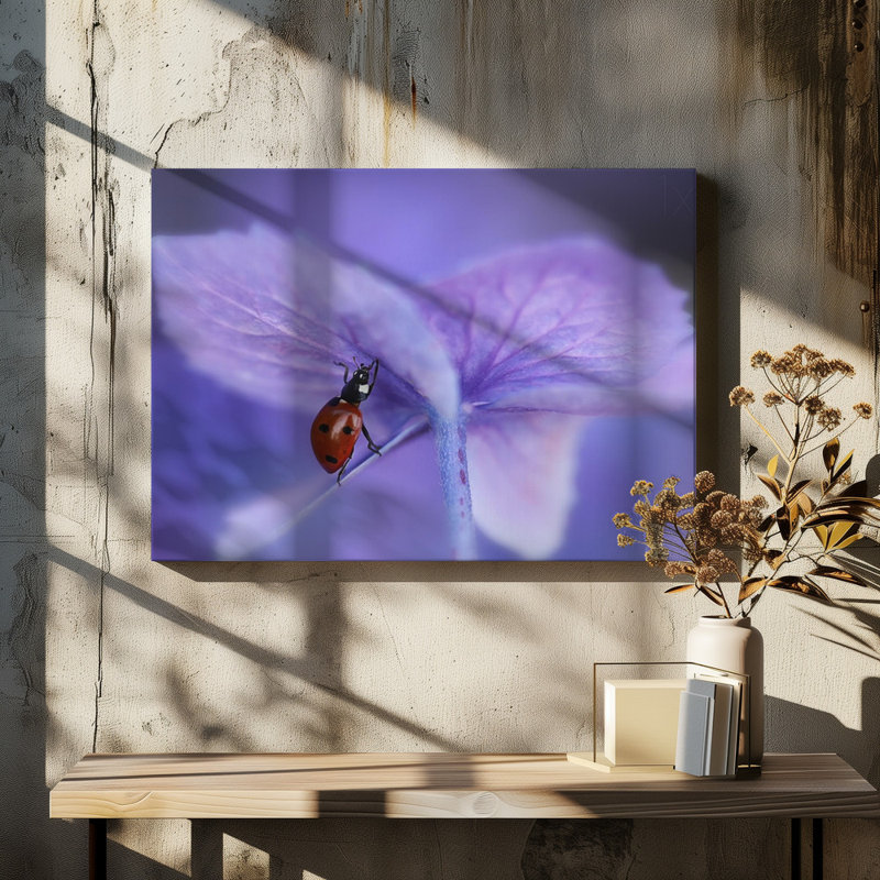 1 Piece Wrapped Canvas Wall Art, 121.92 cm H x 81.28 cm W