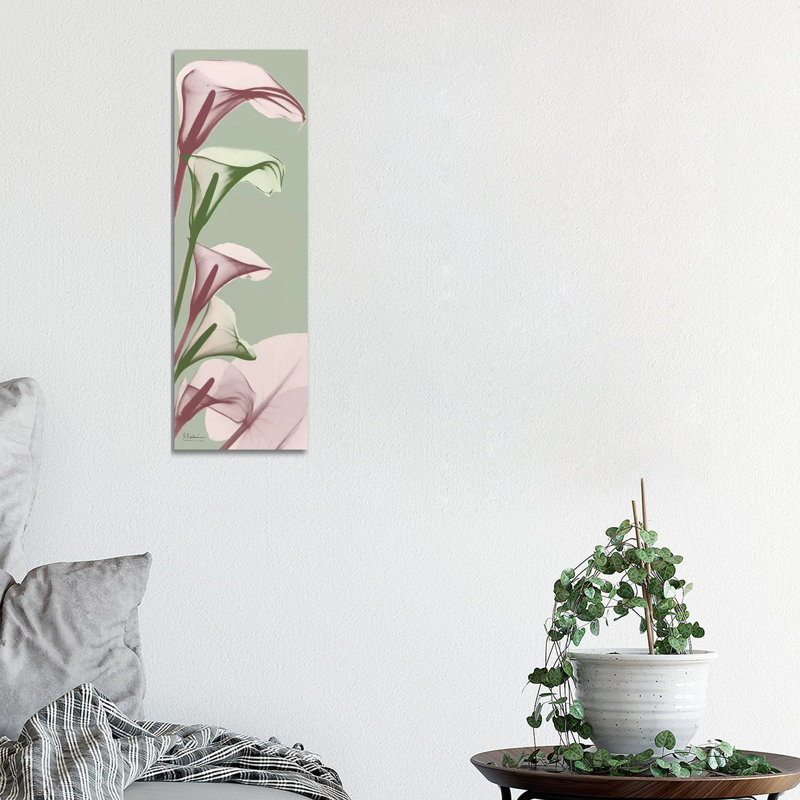 Spring Time Calla Lilies by Albert Koetsier - Wrapped Canvas Panoramic Print, 30.48 cm H x 91.44 cm W x 3.175 cm D