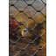 Tapis tissé à motif de fils lavables-1407017509