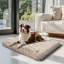 Pet Bed