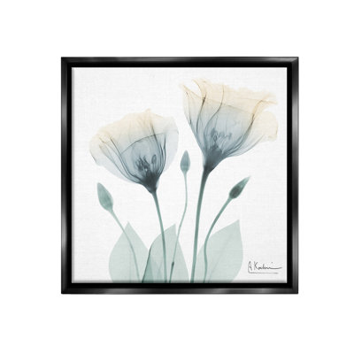 "Opaque Tulip Duo Floater Frame" par Albert Koetsier sur