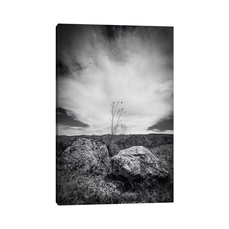 Landscape 13 1 Piece Wrapped Canvas Wall Art, 30.48cm H x 20.32cm W x 1.905cm D