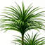 Plantes artificielles réalistes pour la décoration intérieure