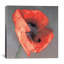 « rossa », impression-22063534-22064160