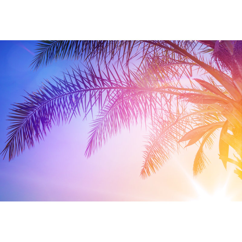 Palm Leaves Against The Sunset. by Zolga_F - Wrapped Canvas Print, 30.48cm x 45.72cm